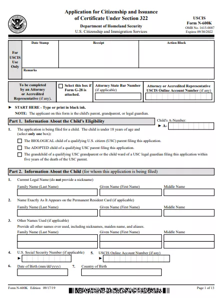 N600 Form Example Fillable Form N-600K | Edit, Sign & Download in PDF | PDFRun